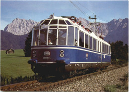 Gläserne Zug - Trenes