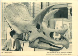 Frankfurt - Senckenberg Museum - Frankfurt A. Main