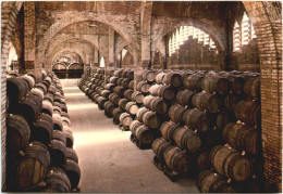 Cavas Codorniu - Weinkeller - Wijnbouw