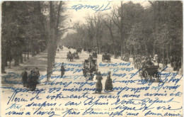 Paris, Ile Bois Du Boulogne - Autres & Non Classés