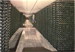 Cavas Codorniu - Weinkeller - Vines