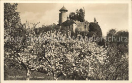 11647225 Arlesheim Schloss Birseck Baumbluete Arlesheim - Altri & Non Classificati