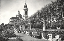 11647070 Solothurn St. Ursenkathedrale Mit Chantieranlagen Park Solothurn - Sonstige & Ohne Zuordnung