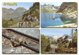 64 Artouste-Fabrèges Laruns MARMOTTE Cp Vierge Non Circulé éditions SICILIA (Scan R/V) N° 45 \MS9007 - Laruns