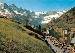 65 GAVARNIE Transhumance Des Moutons Entrée Du Village Cp Vierge Non Circulé (Scan R/V) N° 4 \MS9007 - Gavarnie