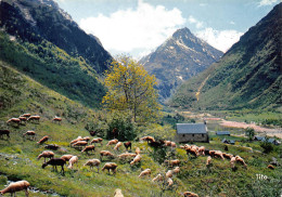 65 Chapelle Notre Dame D’Artiguelongue De Loudenvielle (Scan R/V) N° 39 \MS9006 - Bagneres De Bigorre