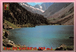 65 CAUTERETS Lac De GAUBE Et Vignemale (Scan R/V) N° 40Bis \MS9005 - Cauterets