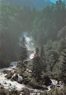 65 CAUTERETS La Cascade De LUTOUR éditions YVON (Scan R/V) N° 22 \MS9005 - Cauterets