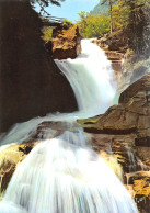 65 CAUTERETS La Cascade Du CERISEY édition Yvon (Scan R/V) N° 14 \MS9005 - Cauterets