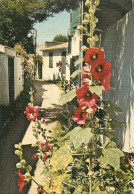 17 île De Ré Roses Trémières Ou Passeroses Dans Une Venelle (Scan R/V) N° 17 \MS9018 - Ile De Ré