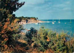 17 LES-PORTES-EN-Ré La Plage De Trousse-chemise Le Fier Et L'anse (Scan R/V) N° 23 \MS9017 - Ile De Ré