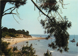 17 LES-PORTES-EN-Ré La Plage De Trousse-chemise Le Fier Et L'anse (Scan R/V) N° 21 \MS9017 - Ile De Ré