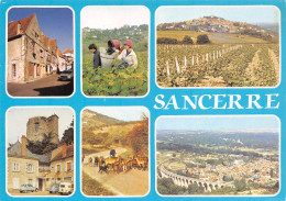 18 SANCERRE Multivue Carte Vierge Non Circulé éd Nivernaises (Scan R/V) N° 27 \MS9016 - Sancerre