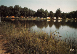 18 NEUVY-SUR-BARANGEON Camping Au Bord De L'étang De La Noue Carte Vierge Non Circulé (Scan R/V) N° 26 \MS9016 - Argent-sur-Sauldre