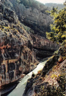 04 Gorges Du Verdon Les Ralingues Greoux Les Bains (Scan R/V) N° 44 \MS9013 - Gréoux-les-Bains