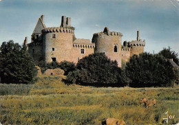 56 SARZEAU Le Chateau De Suscinio Vue D'ensemble Des Ruines (Scan R/V) N° 47 \MS9029 - Sarzeau