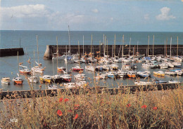 56 Saint-Gildas-de-Rhuys Le Port (Scan R/V) N° 36 \MS9029 - Sarzeau