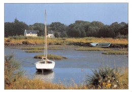 56 SARZEAU Mouillage Dans Les Marais (Scan R/V) N° 3 \MS9029 - Sarzeau