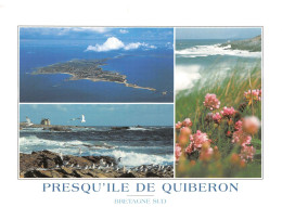 56 QUIBERON Divers Vues De La Presqu'île Bretagne Sud (Scan R/V) N° 25 \MS9028 - Quiberon