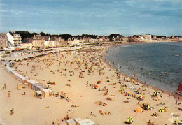 56 QUIBERON Vue Générale De La Grande Plage (Scan R/V) N° 12 \MS9028 - Quiberon