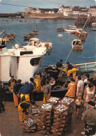 56 QUIBERON Port-Maria Retour De Pêche à La Sardine (Scan R/V) N° 42 \MS9027 - Quiberon