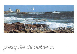 56 QUIBERON La Presqu'île Par Gros Temps (Scan R/V) N° 9 \MS9028 - Quiberon