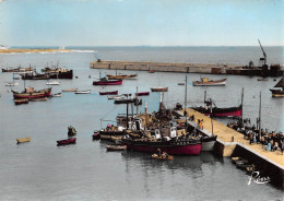 56 QUIBERON Les Sardiniers à Port-Maria (Scan R/V) N° 1 \MS9028 - Quiberon