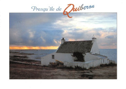 56 QUIBERON Maison à La Pointe De GOULVARS (Scan R/V) N° 21 \MS9027 - Quiberon