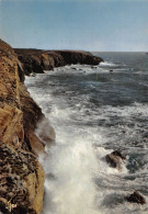 56 QUIBERON Côte Sauvage à Marée Haute éd JOS (Scan R/V) N° 36 \MS9026 - Quiberon