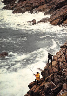 56 QUIBERON Port-Bara Pêche Du BAR Sur Les Rochers (Scan R/V) N° 32 \MS9026 - Quiberon