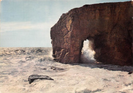 56 QUIBERON Arche De La Côte Sauvage PORT-BLANC (Scan R/V) N° 15 \MS9026 - Quiberon