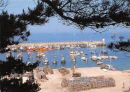 56 L'île De HOUAT Vue Générale Du Port (Scan R/V) N° 49 \MS9023 - Groix