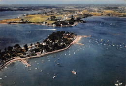 56 L'île Aux Moines Vue D'avion (Scan R/V) N° 28 \MS9023 - Ile Aux Moines