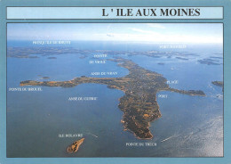 56 L'île Aux Moines L'entrée Du Golfe Vue Générale (Scan R/V) N° 23 \MS9023 - Ile Aux Moines
