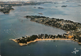 56 L'île Aux Moines Port Et Pointe Du Trech (Scan R/V) N° 29 \MS9023 - Ile Aux Moines