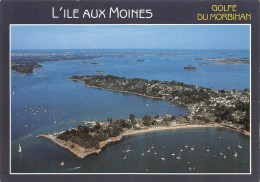 56 L'île Aux Moines Vue Générale (Scan R/V) N° 20 \MS9023 - Ile Aux Moines