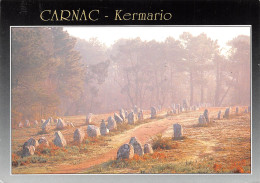 56 CARNAC Alignements De KERMARIO (Scan R/V) N° 3 \MS9037 - Carnac