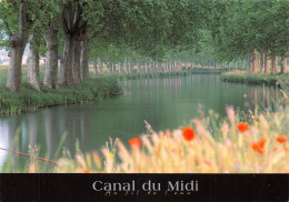 11 De Toulouse à SETE Canal Du Midi (Scan R/V) N° 33 \MS9036 - Conques Sur Orbiel