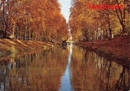 31 TOULOUSE Le Canal Du MIDI (Scan R/V) N° 23 \MS9036 - Toulouse