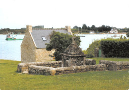 56 Saint-Philibert La Fontaine à La Croix (Scan R/V) N° 20 \MS9035 - La Trinite Sur Mer