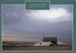 56 QUIBERON Solitude à GOULVARS (Scan R/V) N° 12 \MS9035 - Quiberon