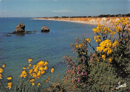 56 PENESTIN Plage De La Mine D'Or (Scan R/V) N° 57 \MS9033 - Pénestin