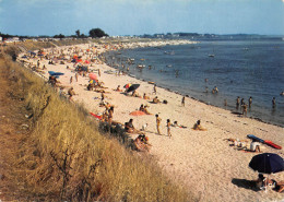 56 LOCMARIAQUER La Grande Plage à L'entrée Du Golfe (Scan R/V) N° 42 \MS9033 - Locmariaquer