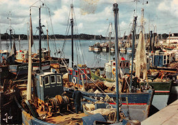 29 LOCTUDY Chalutiers Et Sardiniers Dans Le Port (Scan R/V) N° 37 \MS9032 - Loctudy