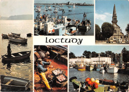 29 LOCTUDY Multivue Bigouden Sardiniers (Scan R/V) N° 35 \MS9032 - Loctudy