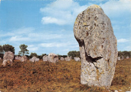 56 CARNAC Menhirs De KERLESCANT (Scan R/V) N° 24 \MS9032 - Carnac