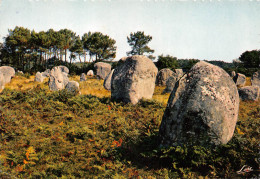 56 CARNAC Menhirs De KERLESCANT (Scan R/V) N° 20 \MS9032 - Carnac