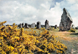 56 CARNAC Ajoncs Et Menhirs De KERLESCANT (Scan R/V) N° 21 \MS9032 - Carnac