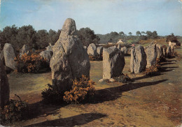 56 CARNAC KERMARIO Les Menhirs (Scan R/V) N° 11 \MS9032 - Carnac