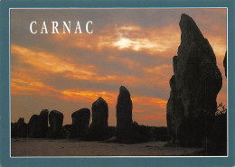 56 CARNAC KERMARIO Les Menhirs Sur 10 Rangées (Scan R/V) N° 12 \MS9032 - Carnac